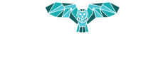 Night Owls